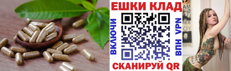 Ecstasy TESLA  ссылка на мегу ТОР  Железноводск  купить наркотики сайты 