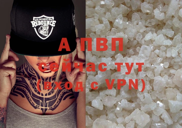таблы Бородино