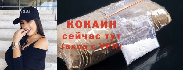 таблы Бородино