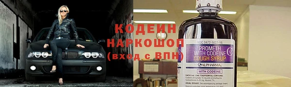 таблы Бородино