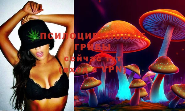 таблы Бородино