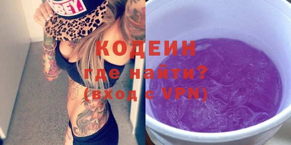 таблы Бородино