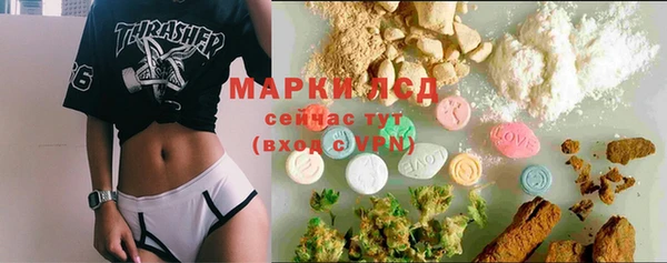 таблы Бородино
