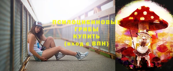 таблы Бородино