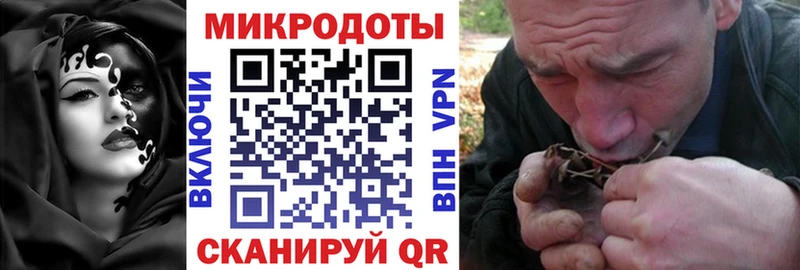 Псилоцибиновые грибы мухоморы  где купить   mega   Железноводск 
