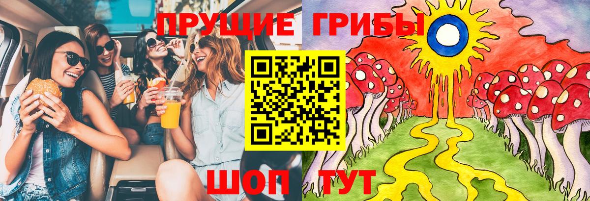 Псилоцибиновые грибы Psilocybine cubensis Железноводск