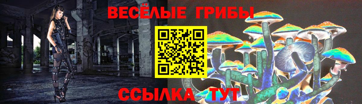 Псилоцибиновые грибы Magic Shrooms  Железноводск  Псилоцибиновые грибы MAGIC MUSHROOMS 